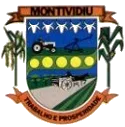 Câmara de Montividiu – GO anuncia novo Concurso Público