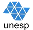 Unesp – ICT Campus São José dos Campos abre dois Concursos Públicos
