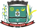 Prefeitura de Leopoldina – MG: Processo Seletivo divulga novas oportunidades
